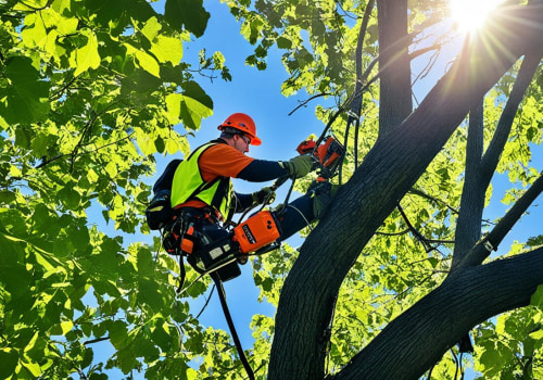 Tree Pruning Services in Cabins, WV for Safer Yards and Effective Poison Ivy Removal