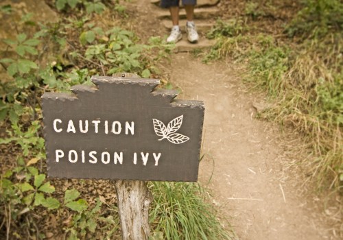 How to stop from getting poison ivy?